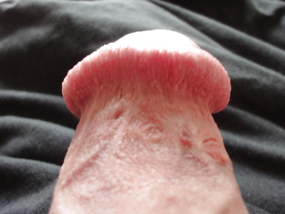 25P HD closeup of my pierced circumcised penis