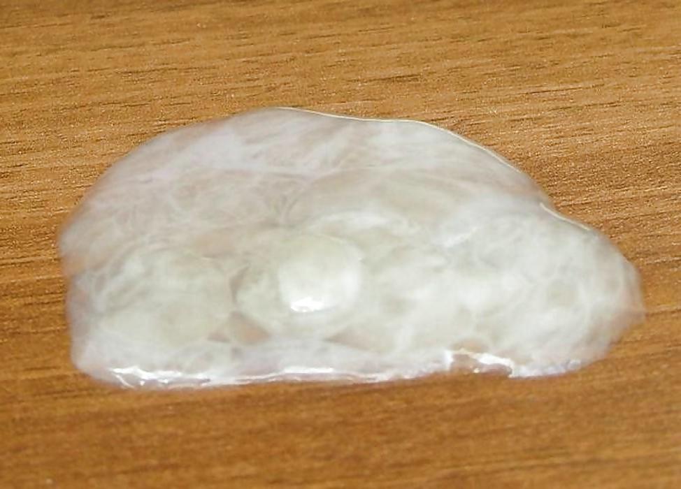 25P Cocks, Cum, Pre-Cum and More Cum