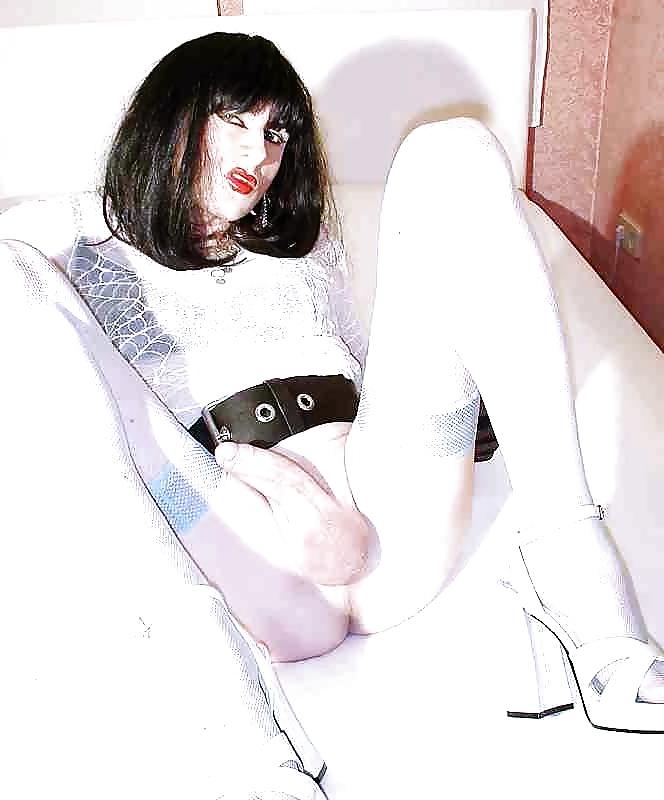 25P Shemales crossdressing transsexual 16