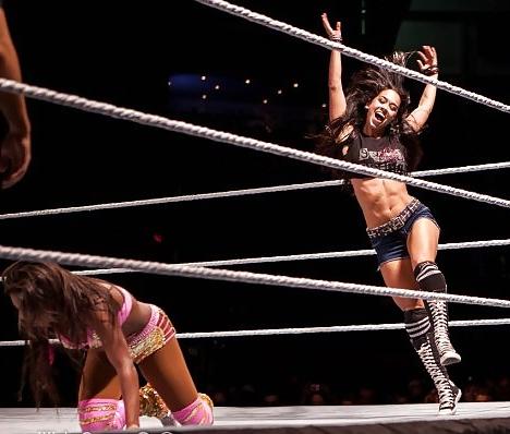25P AJ Lee WWE Mega Collection 2