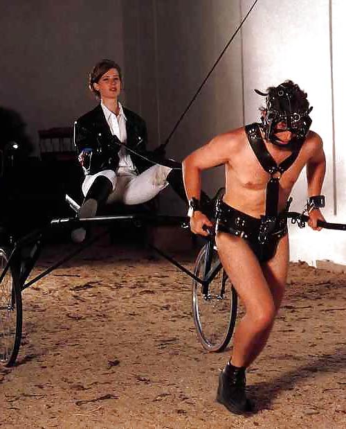 25P Ride a pony boy