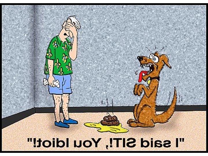 12P Laugh Break 2