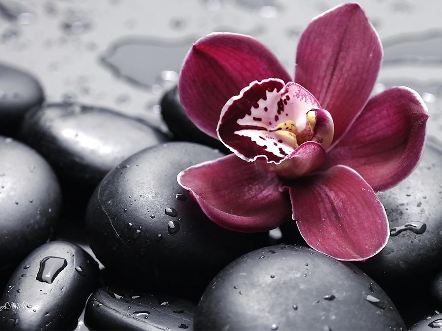 25P Natur, Art ,Fun and Erotic 