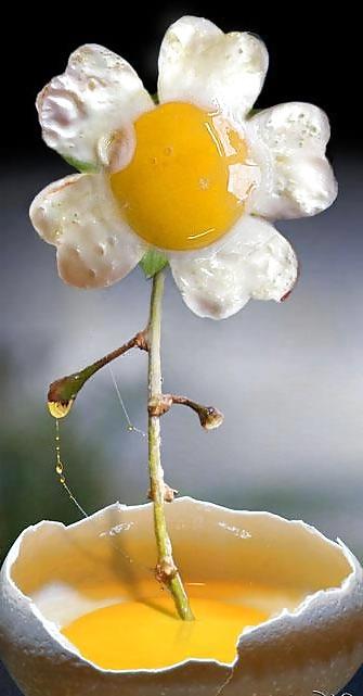 25P Natur, Art ,Fun and Erotic 