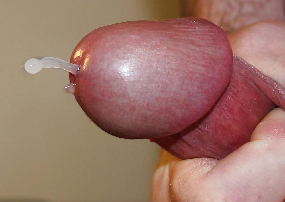 25P GAY ASS AND CUM FAVORITES