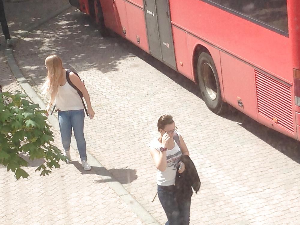 15P Sommer Street Bunnys
