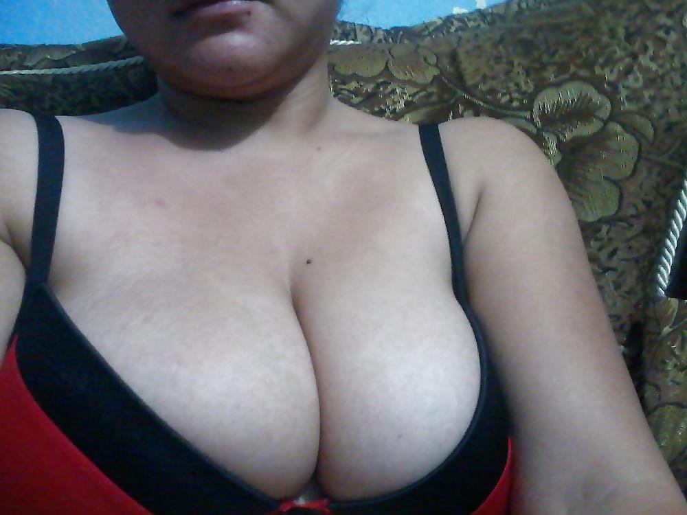 25P Troie Pinay