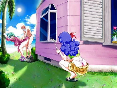 11P Dragon ball XXX