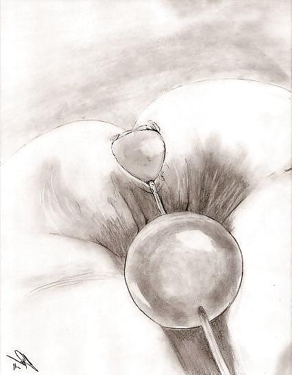 14P Cartoons Anal Beads Part II
