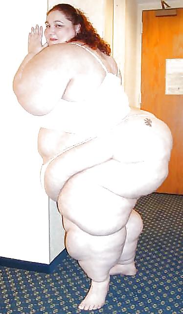 6P SUCULENTAS SSBBW