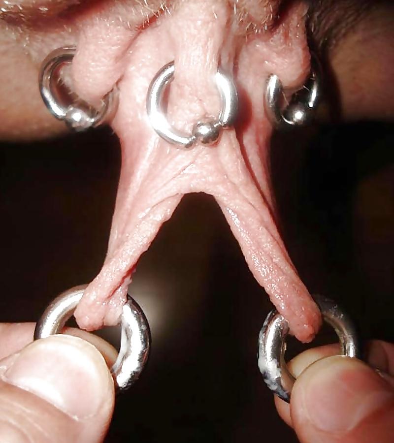 25P Heavy Pierced Pussies