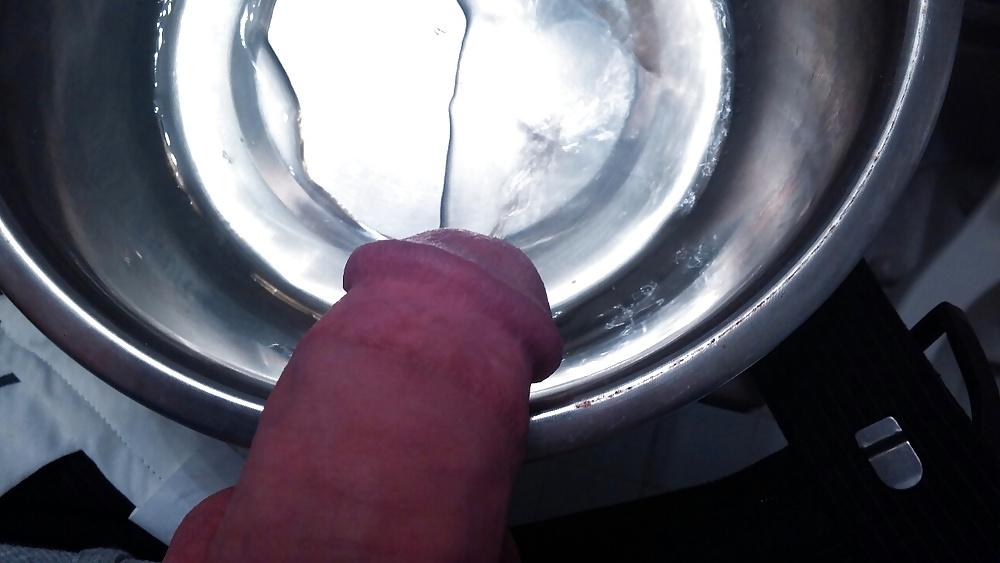 7P Master training puppy slut