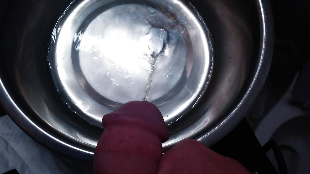 7P Master training puppy slut