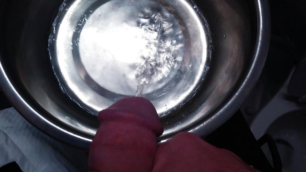7P Master training puppy slut