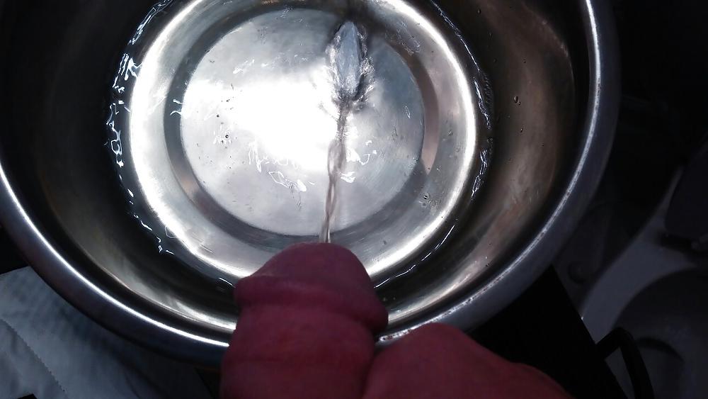 7P Master training puppy slut