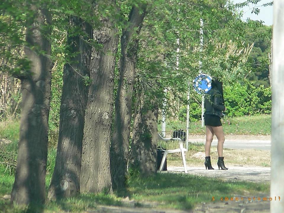 19P Street hookers. Roadflowers 2
