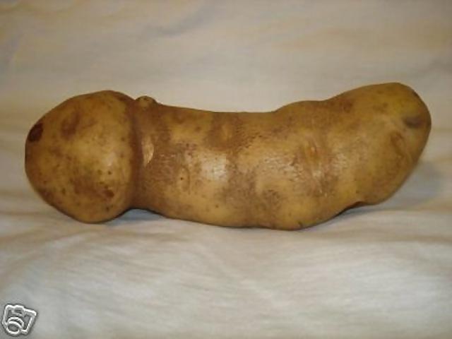 25P Erotic Nature