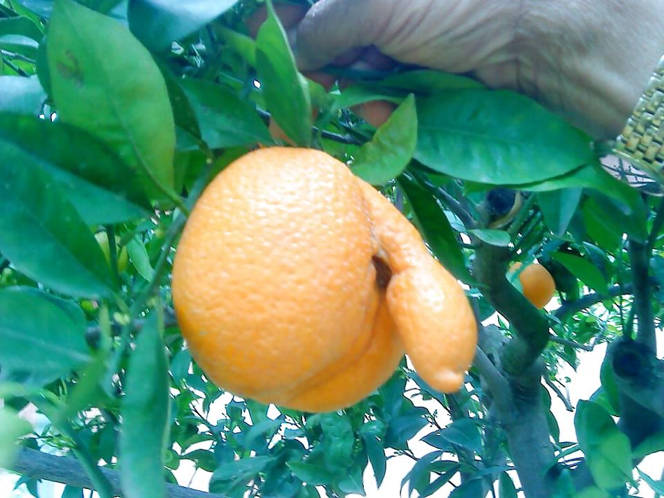 25P Erotic Nature
