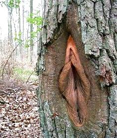 25P Erotic Nature