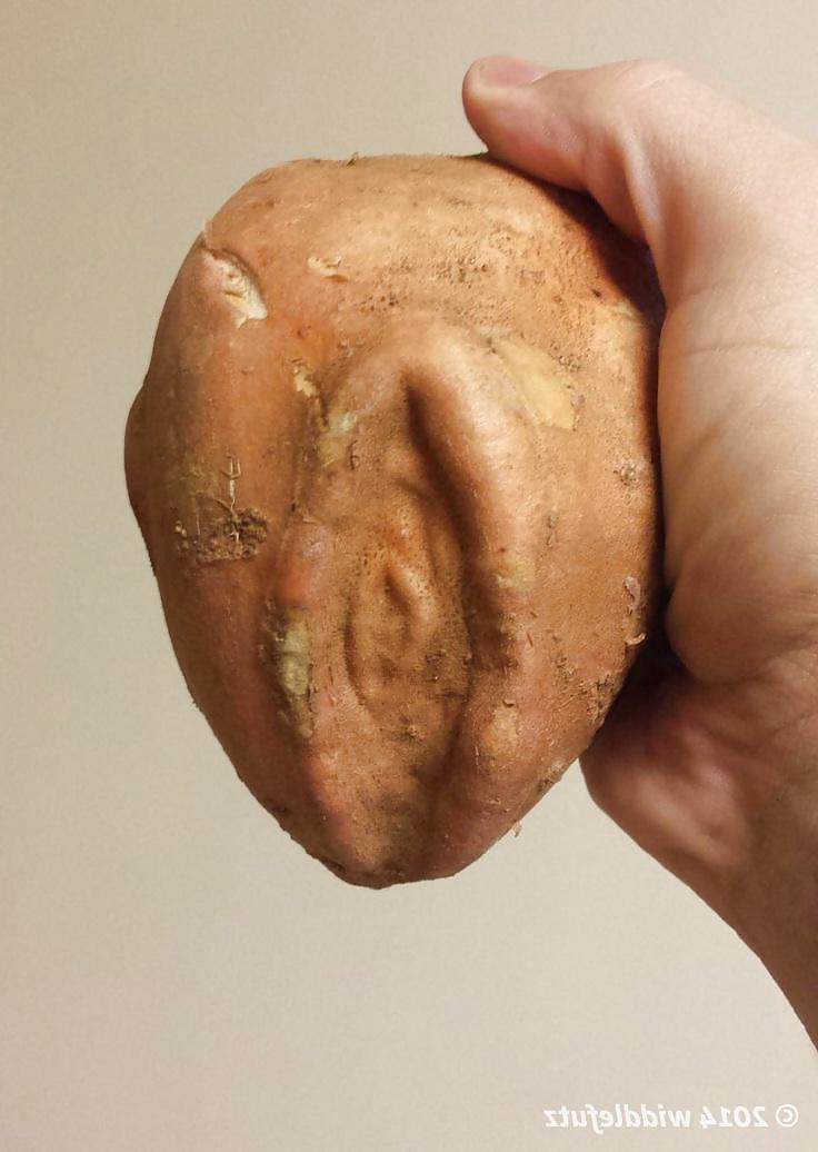 25P Erotic Nature