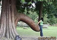 25P Erotic Nature