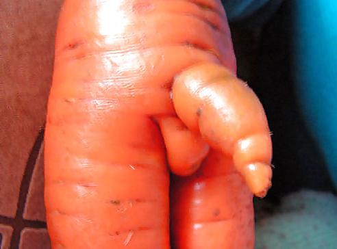 25P Erotic Nature