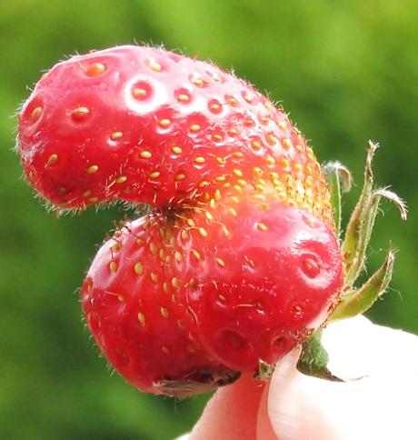 25P Erotic Nature