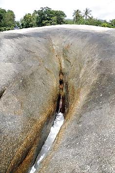 25P Erotic Nature