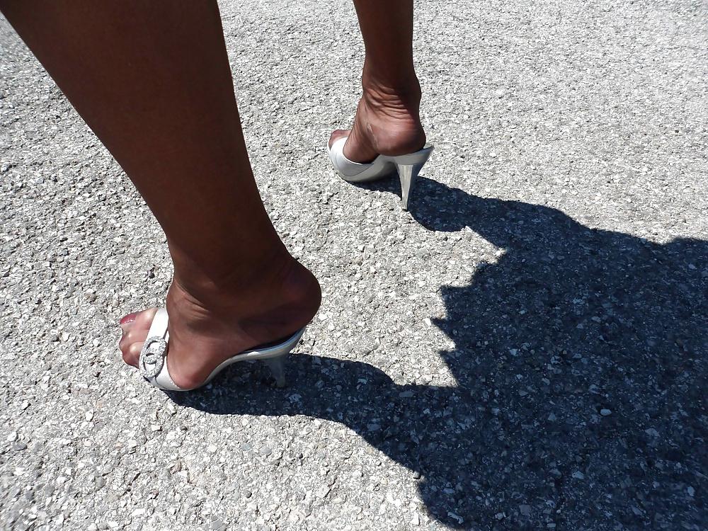 15P Stockings under the Sun!!!