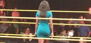 25P Brandi Runnels (Reed) aka Eden Stiles - WWE Diva collection