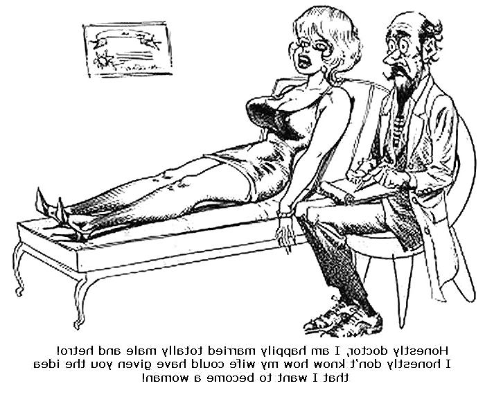 12P Crossdressing Cartoons 2
