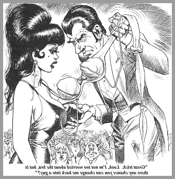12P Crossdressing Cartoons 2