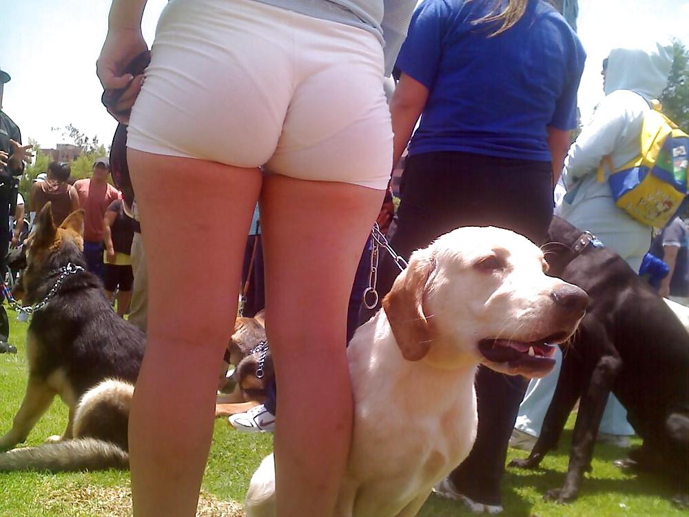 14P Big ass