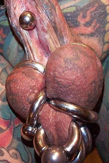 15P Tattooed and pierced dicks