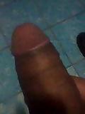 4P Para gorditas