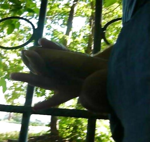 16P Male exhibitionism, a collection of images 2