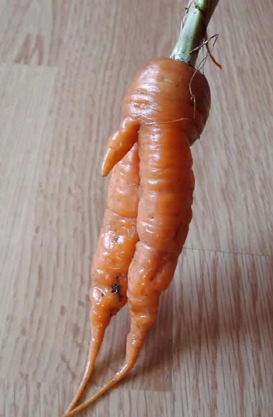 5P Erotic food!