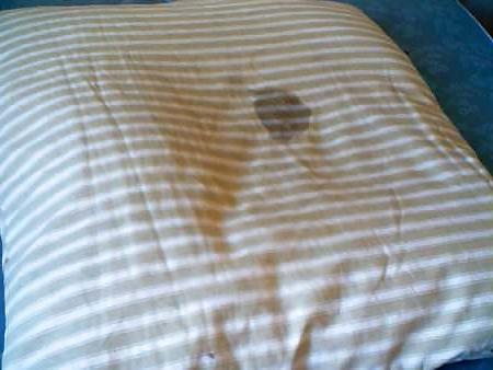 10P My feather pillow