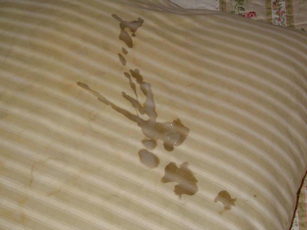 10P My feather pillow