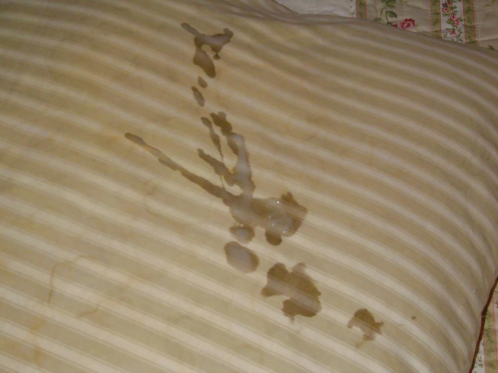 10P My feather pillow