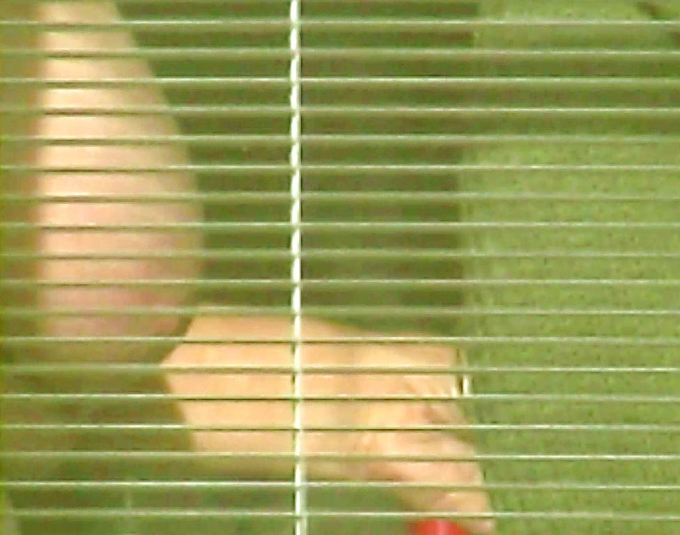 5P Aunt's Big Boobs II