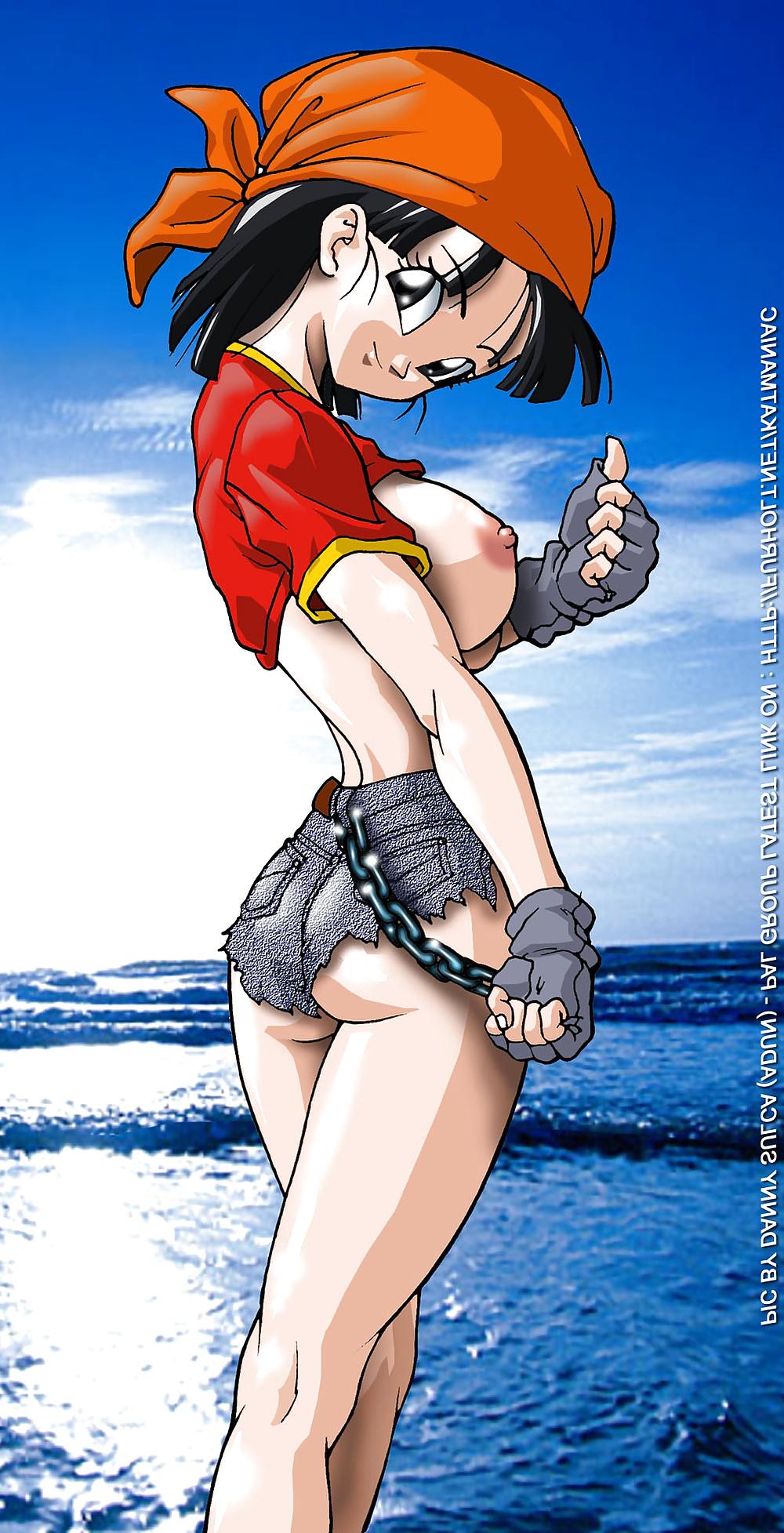 25P Dragon Ball Pan
