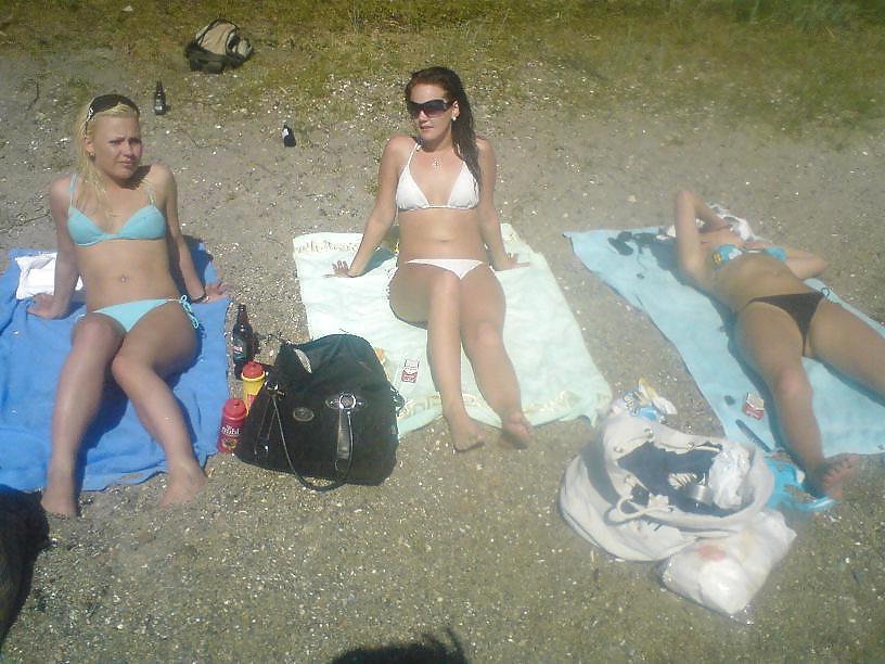 25P Norwegian Chicks