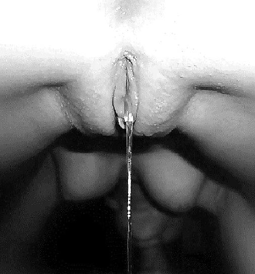 25P Hot And Wet Pussy 