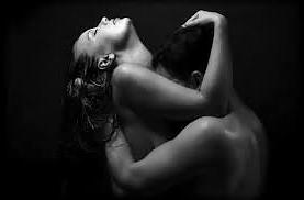 16P Sexy erotic black-white