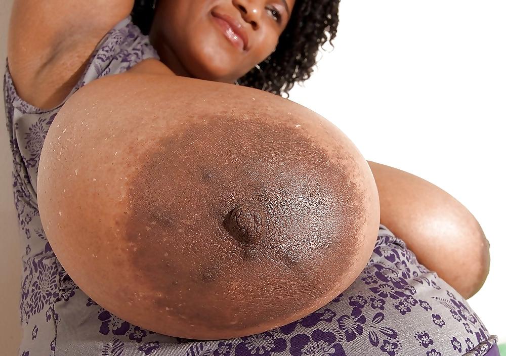 25P Big Chocolate Boobs