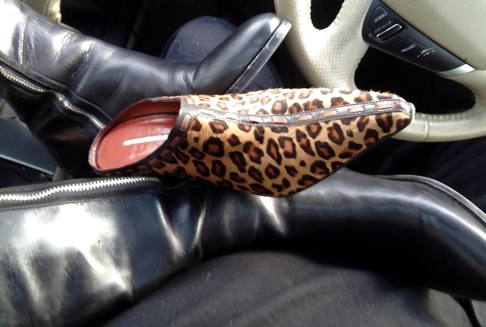 25P Donald Pliner riding Boots