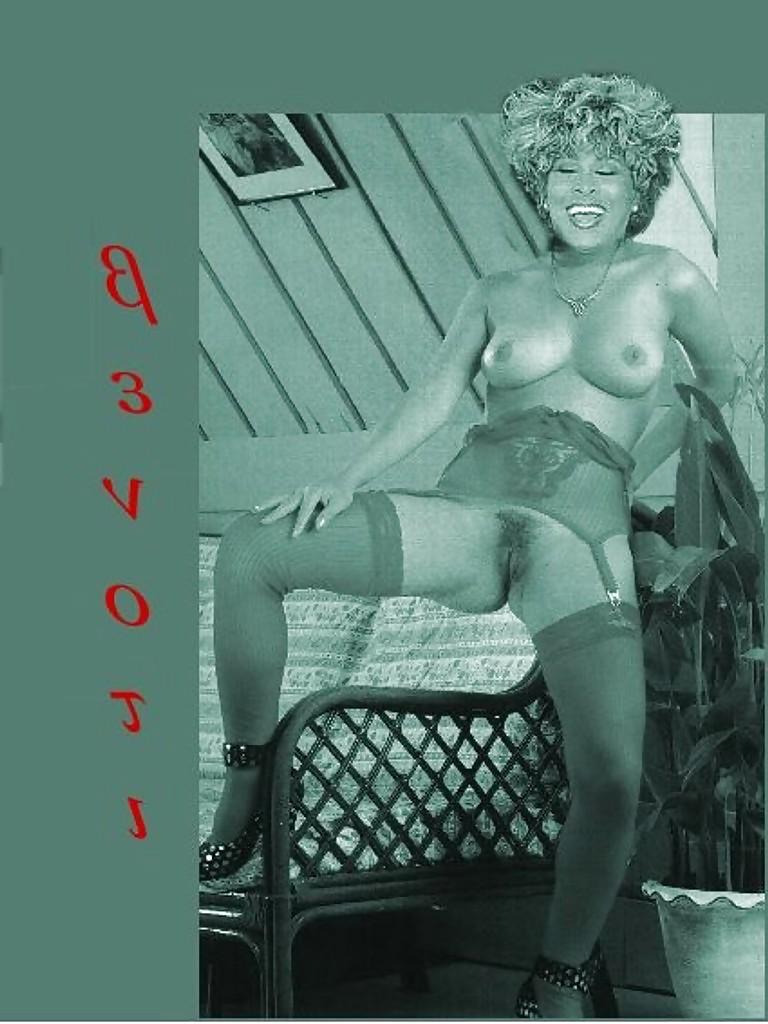 25P Tina Turner (Nude & Interracial Fakes)