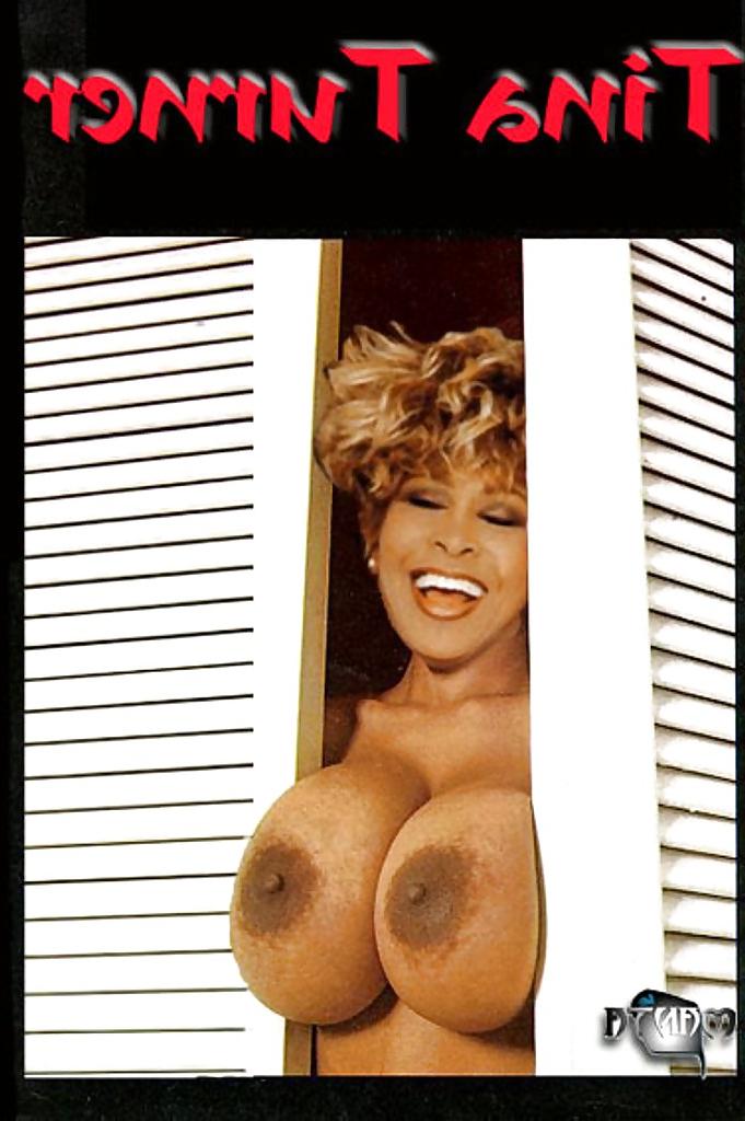 25P Tina Turner (Nude & Interracial Fakes)