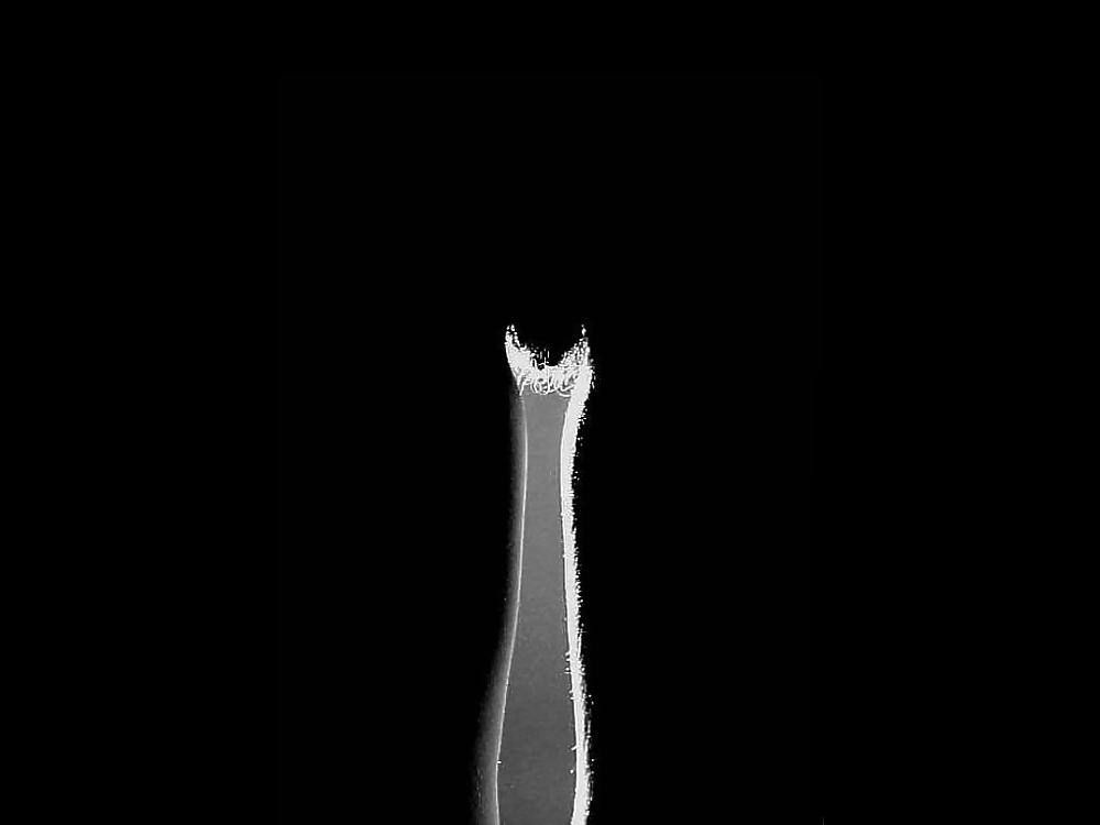 25P From the Moshe Files: Erotic BW Mix